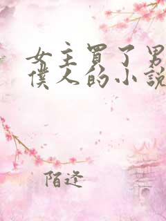 女主买了男主当仆人的小说