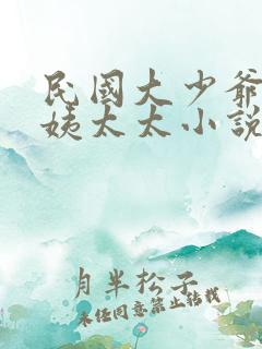 民国大少爷又娶姨太太小说