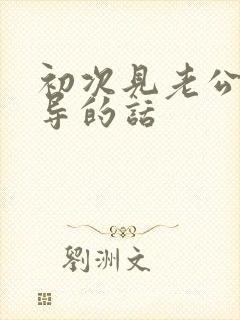 初次见老公的领导的话