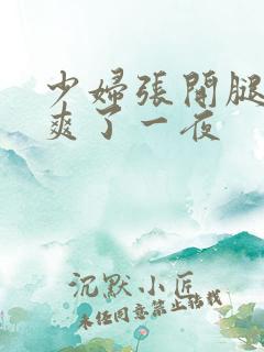 少妇张开腿让我爽了一夜