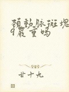 颈动脉斑块1.9严重吗