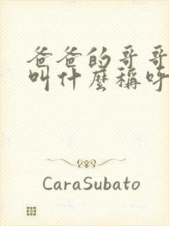 爸爸的哥哥儿子叫什么称呼