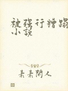 被强行糟蹋辣h小说