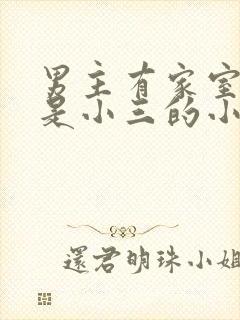 男主有家室女主是小三的小说