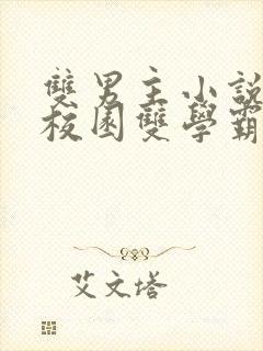 双男主小说推文校园双学霸