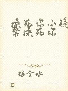 操死你小贱人逼紧操死你