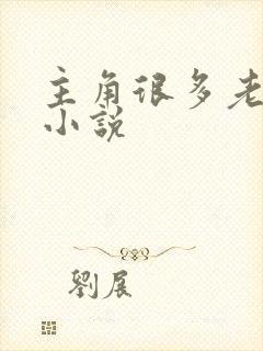 主角很多老婆的小说