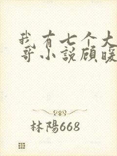 我有七个大佬哥哥小说顾暖暖 小说