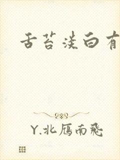 舌苔淡白有齿痕