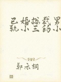 已婚总裁男主出轨小三的小说