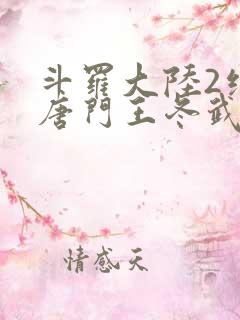 斗罗大陆2绝世唐门王冬武魂