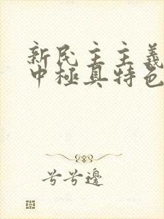 新民主主义纲领中极具特色