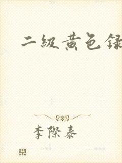 二级黄色录像带