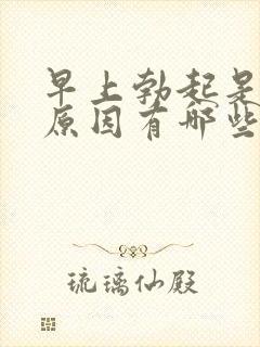 早上勃起是什么原因有哪些