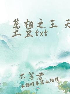 万相之王 天蚕土豆txt