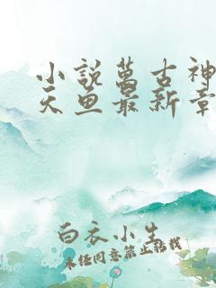 小说万古神帝飞天鱼最新章节列表列表