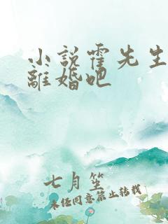 小说霍先生我们离婚吧