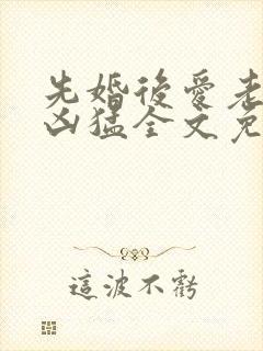 先婚后爱老公很凶猛全文免费