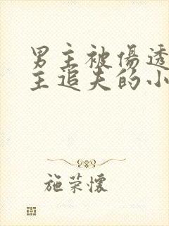 男主被伤透心女主追夫的小说