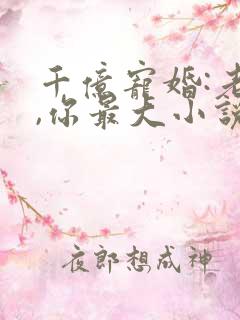 千亿宠婚:老婆,你最大小说