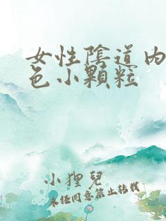 女性阴道内有白色小颗粒