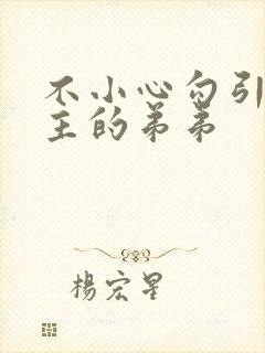 不小心勾引了男主的弟弟