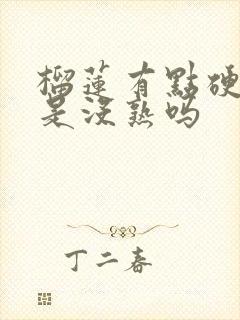 榴莲有点硬硬的是没熟吗