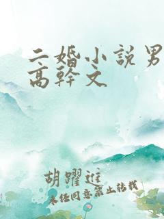 二婚小说男主是高干文
