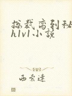 总裁脔到秘书哭h1v1小说