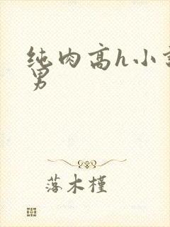 纯肉高h小说男男