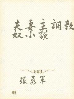 夫妻主调教夫妻奴小说