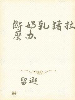 断奶乳猪拉稀怎么办