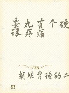 睾丸有个硬疙瘩很疼痛