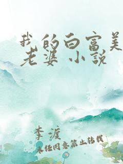 我的白富美总裁老婆 小说