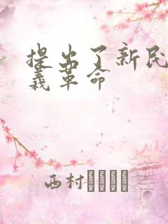 提出了新民主主义革命