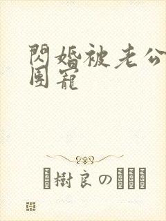 闪婚被老公全家团宠