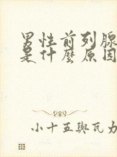 男性前列腺结石是什么原因引起的