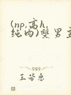 (np,高h,纯肉)双男主