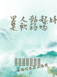 男人勃起时龟头是软的吗