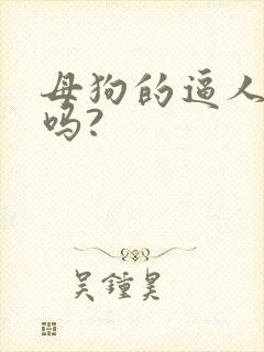 母狗的逼人能操吗?