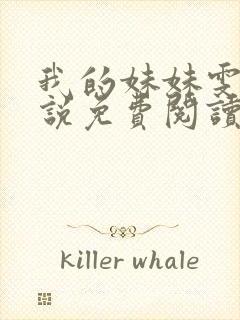 我的妹妹雯雯小说免费阅读笔趣阁