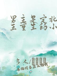 男主是定北侯女主重生的小说