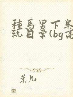 种马男下半身出轨日常(bg高h