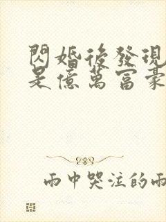 闪婚后发现老公是亿万富豪(小说)