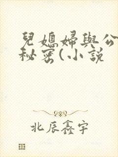 儿媳妇与公公的秘密(小说
