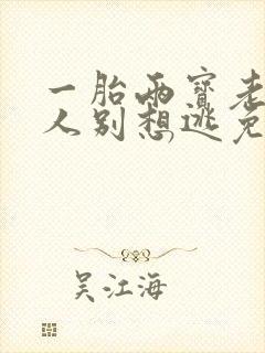 一胎两宝老婆大人别想逃免费阅读