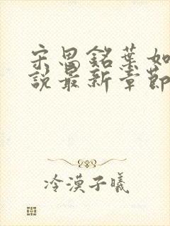 宋思铭叶如云小说最新章节免费阅读