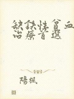 缺铁性贫血药物治疗首选