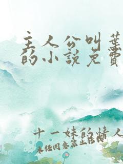 主人公叫叶北辰的小说免费阅读全文