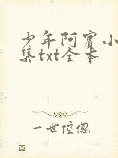 少年阿宾小说全集txt全本